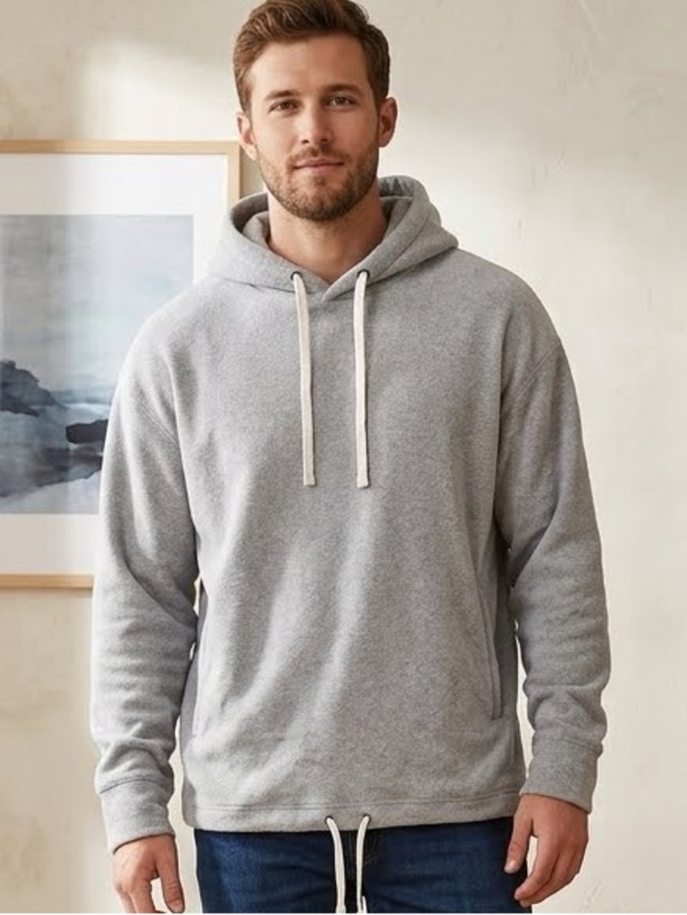 Zanerobe Gray hoodie- size large